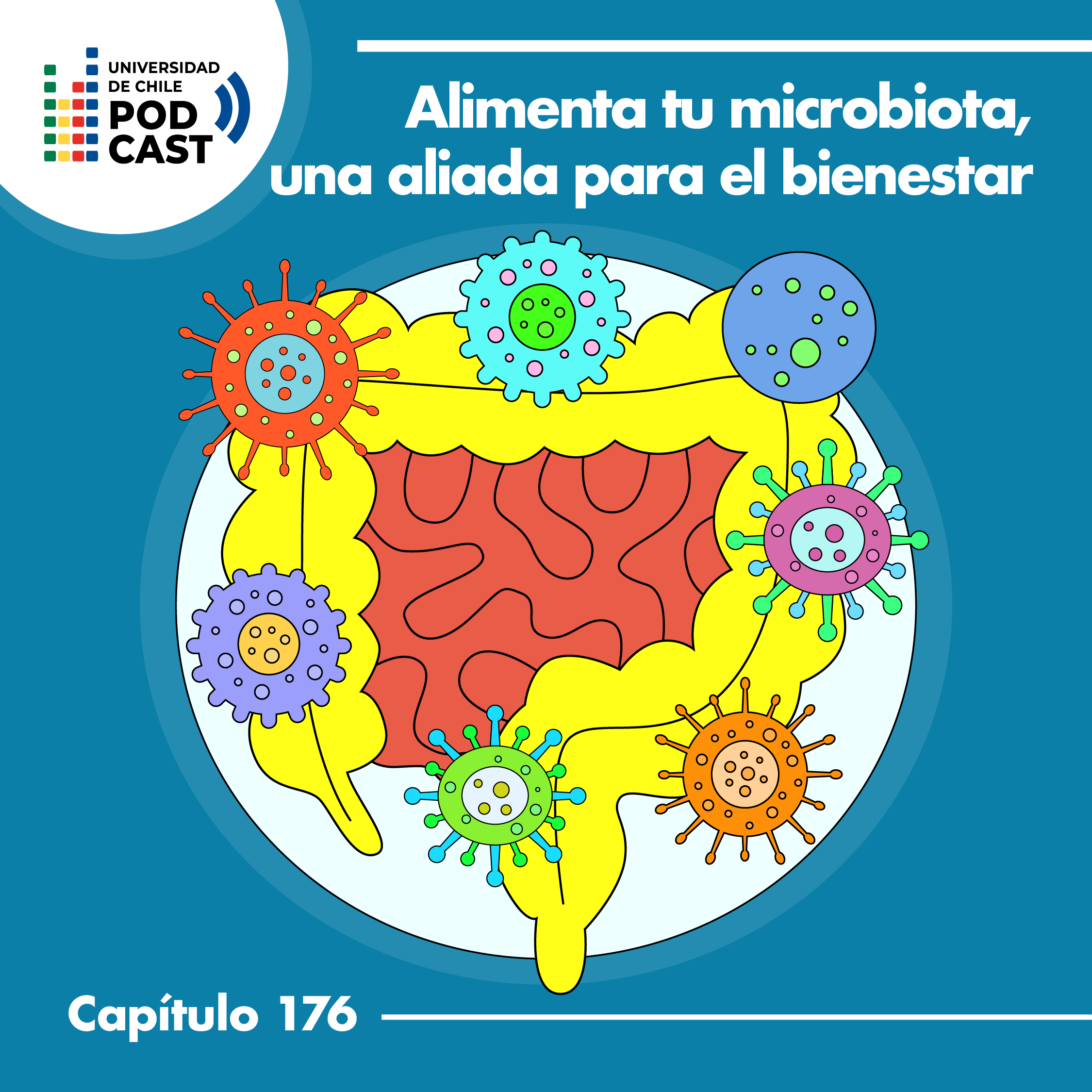 Alimenta tu microbiota, una aliada para el bienestar